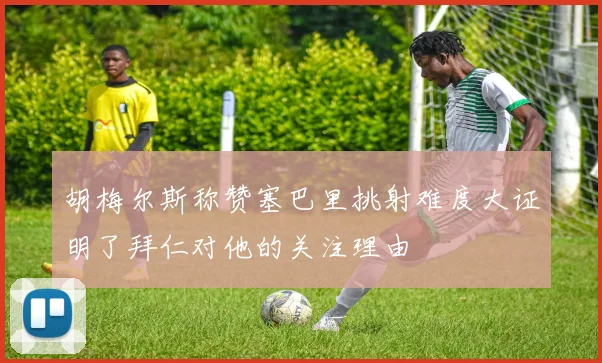 胡梅尔斯称赞塞巴里挑射难度大证明了拜仁对他的关注理由