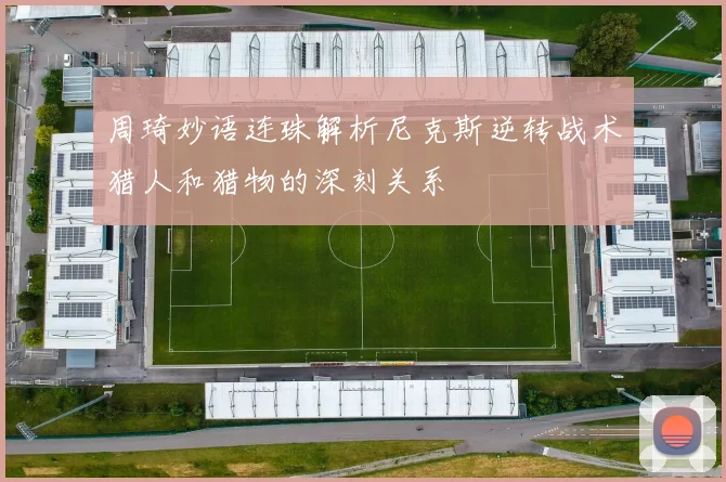 周琦妙语连珠解析尼克斯逆转战术猎人和猎物的深刻关系
